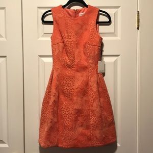 NWT Calvin Klein Peach Dress Size 2